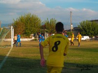 ermis